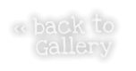 << back to     Gallery